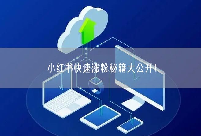 小红书快速涨粉秘籍大公开！